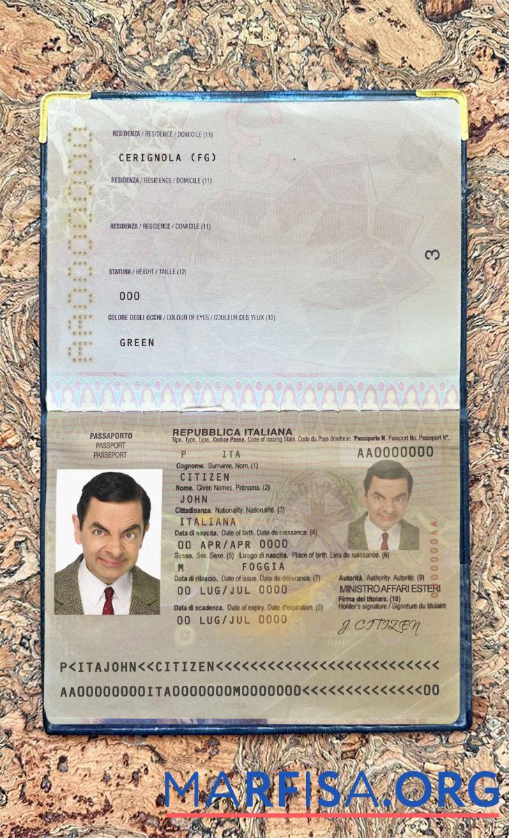 Printable Italy passport photo look example